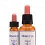 Mimulus (Mímulo) 30 ml. | Flores de Bach Healing Herbs