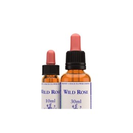 Wild Rose (Rosa Silvestre) 10 ml. | Flores… | Bionaturista