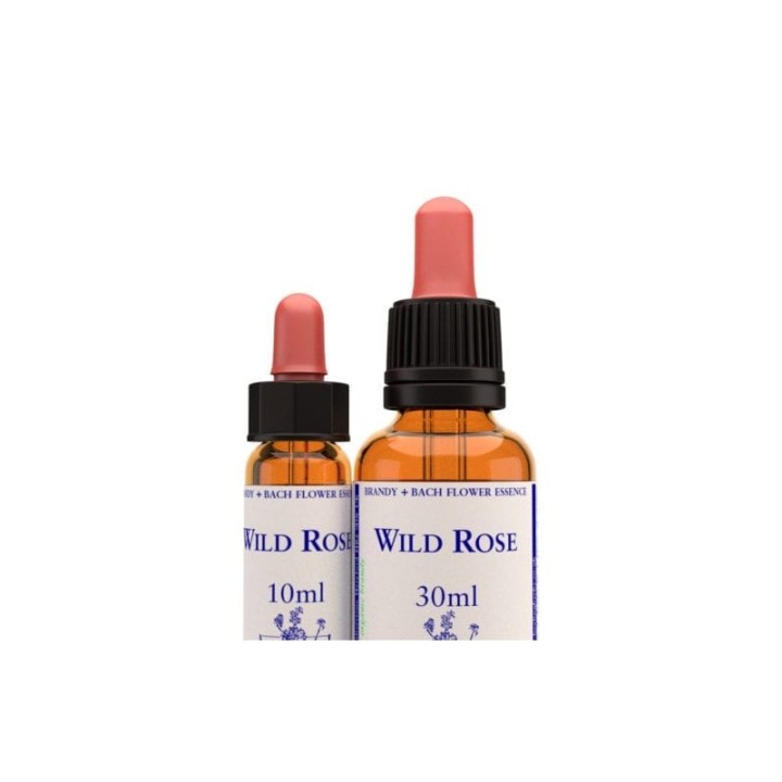 Wild Rose (Rosa Silvestre) 10 ml. | Flores… | Bionaturista