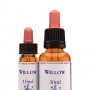 Willow (Sauce) 10 ml. | Flores de Bach Healing Herbs