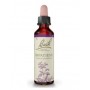 Impatiens FLORES BACH IMPATIENS impaciencia 20ml. (FLORES BACH ORIGINAL)